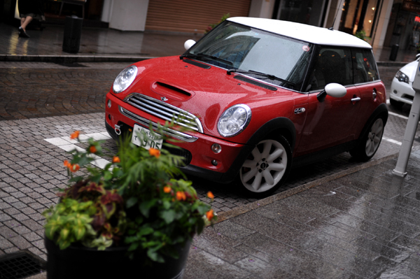 831 MINI DSC_3131.jpg